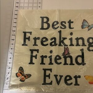Best Freaking Friend Ever 17x18 canvas throw pillow cover zipper close unstuffed